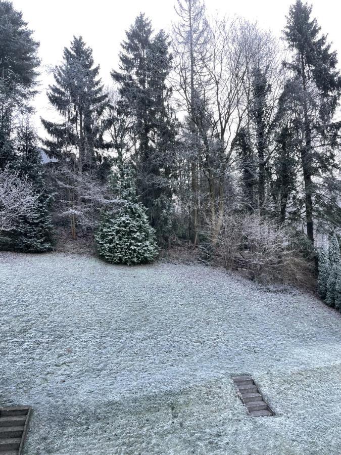 Bergstadthuette Harz Villa Bad Grund Eksteriør billede