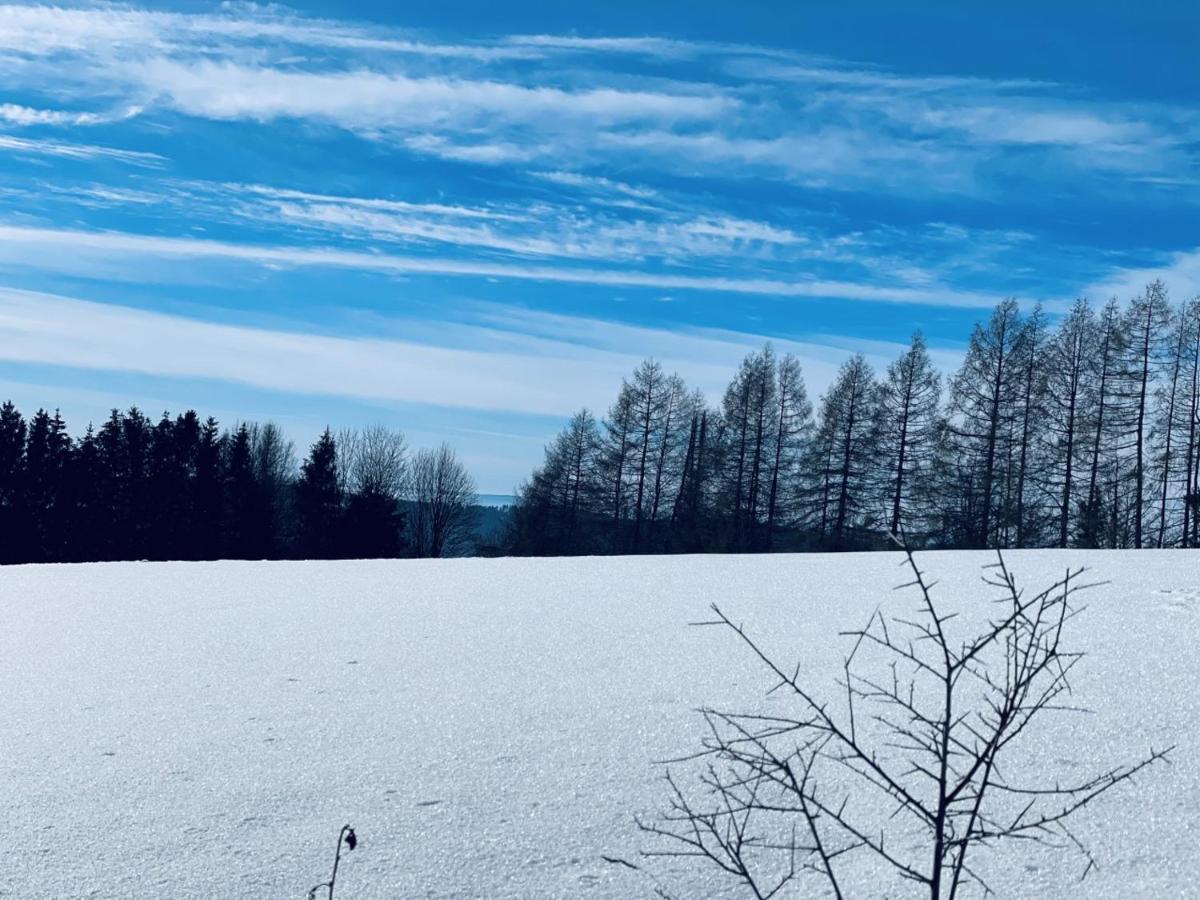 Bergstadthuette Harz Villa Bad Grund Eksteriør billede