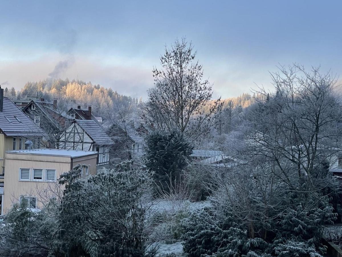 Bergstadthuette Harz Villa Bad Grund Eksteriør billede